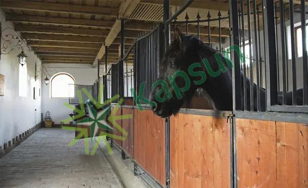 Horse Stable
