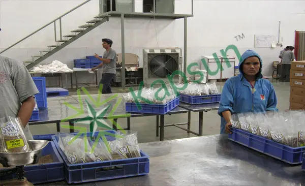 Packaging Area